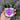 Organic Distelpaste mit Lavandula Bohemia